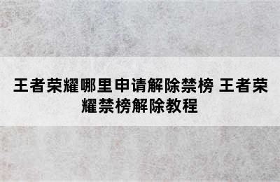 王者荣耀哪里申请解除禁榜 王者荣耀禁榜解除教程